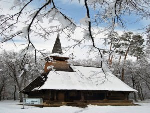 intrare gratuită la muzeul în aer liber de ziua mondială a tineretului ortodox