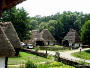 profesor de la sorbona în vizită la sibiu la muzeul în aer liber