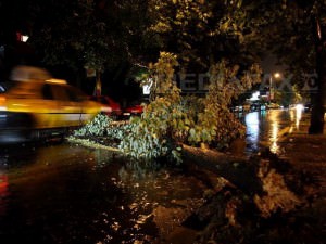 zeci de copaci rupţi şi mai multe străzi inundate în mediaş