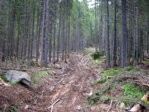un motociclist din austria a făcut infarct în pădurile orlatului