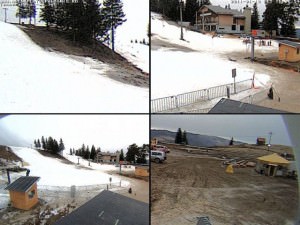 patru webcam-uri montate la arena platoş din păltiniş. vezi imagini live!