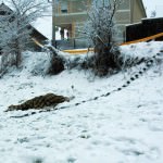 tânărul descoperit mort pe câmp la brateiu a fost identificat