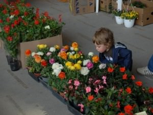 Expoziţia „Flori de Florii” se ţine la Biblioteca Astra