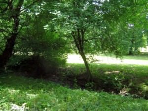 sinistru - femeie găsită moartă în pădurea dumbrava, aproape de hilton