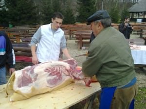 peste 15.000 de porci vor fi sacrificaţi de ignat în judeţul sibiu