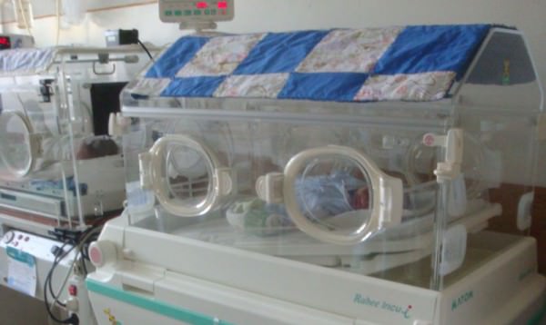 incubator