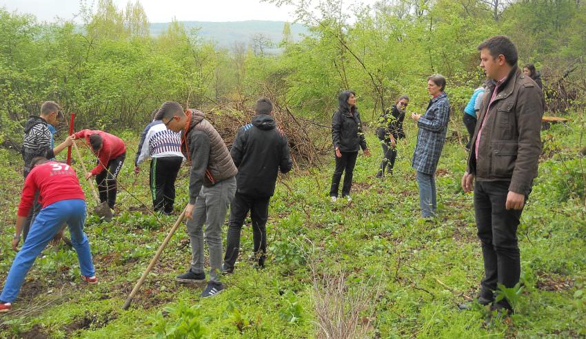 plantare copaci marpod (10)