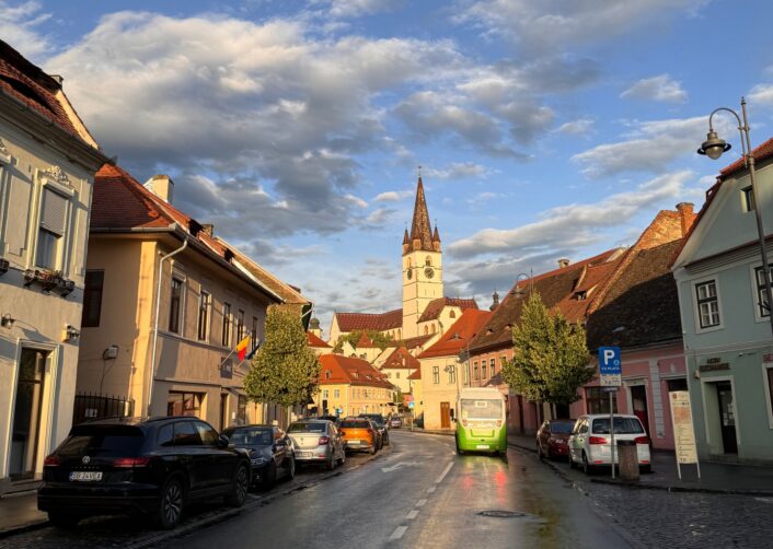 Problemele Semnalate De Un Consilier Local La O Plimbare Prin Centrul