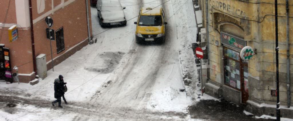 video – foto: ninsorile au revenit la sibiu şi pun probleme în trafic