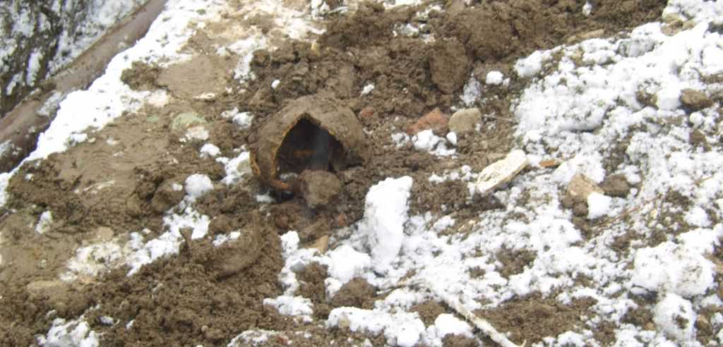 un craniu a fost găsit într-o mlaştină de lângă satul sibian şoala