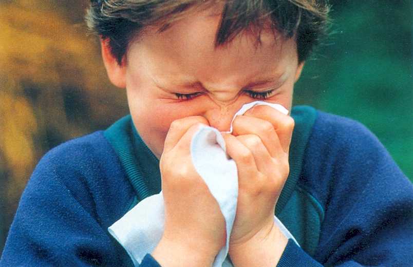 numărul infecţiilor respiratorii este în creştere la sibiu. la fel şi în cazul pneumoniilor