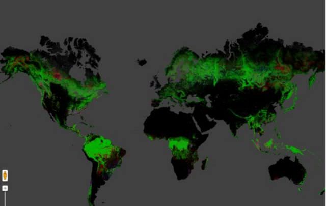 harta interactiva a despaduririlor din toata lumea!