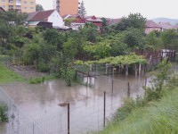 video probleme la canalizare pe strada târnavei| mai multe curţi au fost inundate