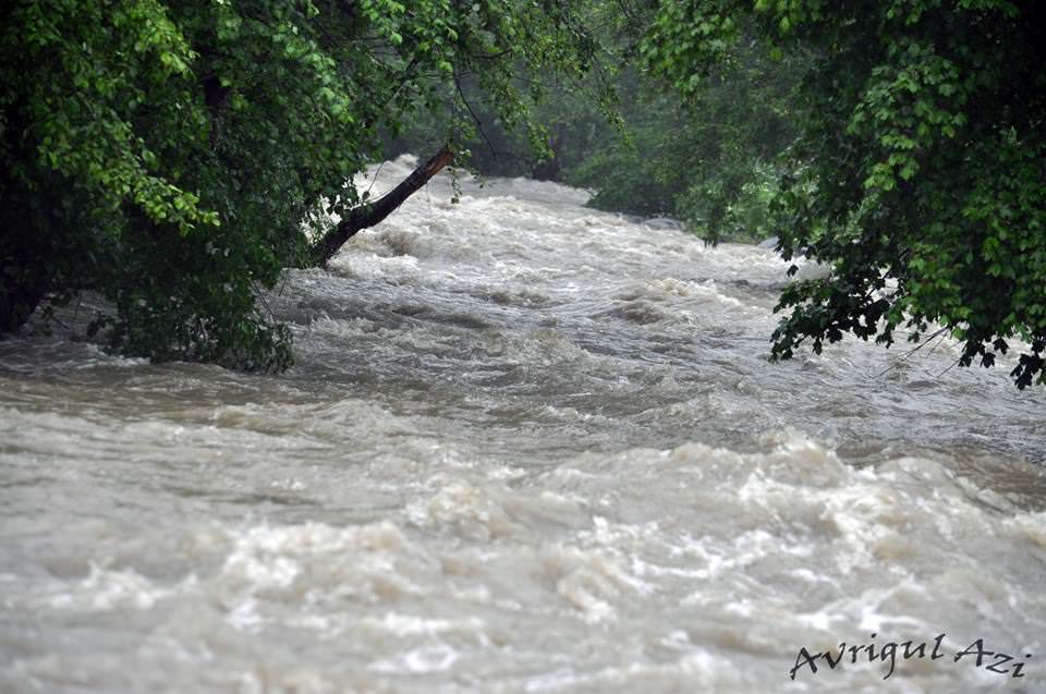 viitură cu inundații pe valea avrigului - râul a ieșit din matcă - vezi fotografiile