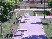 video vandali de mediaş filmaţi în parcul vitrometan | au distrus masa de şah