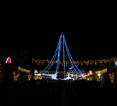 video foto la cisnădie a fost inaugurat cel mai înalt brad de crăciun din românia