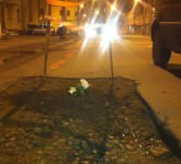 foto panseluțe plantate în gropile de pe străzile sibiului. ce spune primăria despre asta!