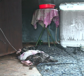 video foto o fetiță de 3 ani a murit după ce s-a intoxicat cu fum într-un incendiu la soroștin (update)