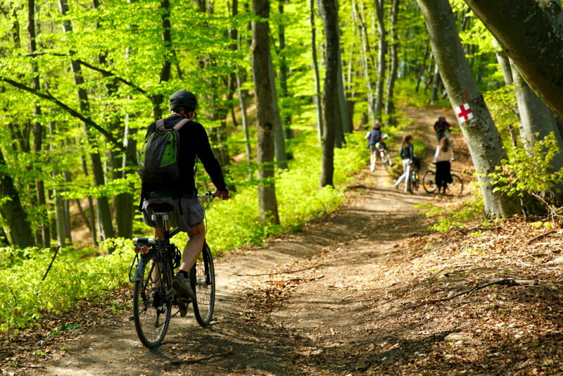 peisaje de poveste pe 229 km de trasee de cicloturism în podișul hârtibaciului din transilvania