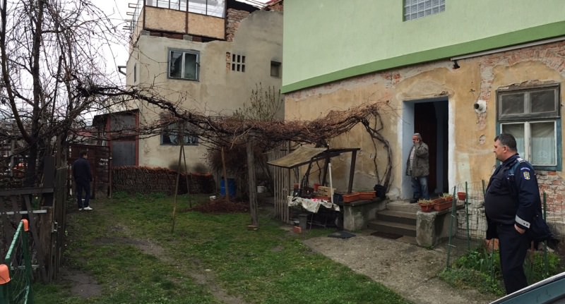 foto video un pui de urs s-a plimbat ore întregi liber prin sibiu. vezi aici întreaga operațiune de capturare