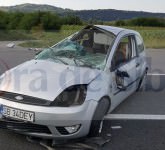 FOTO - Adevărul despre accidentul de pe DN1: A vrut sa arunce o hartie pe geam și o viespe l-a pedepsit!