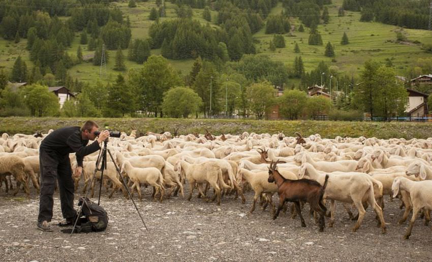 fotograful care l-a descoperit pe ghiţă ciobanul face un film despre transhumanţă - ajută-l și tu!