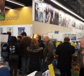 black friday la sibiu: coadă la flanco, gol la altex (video foto)