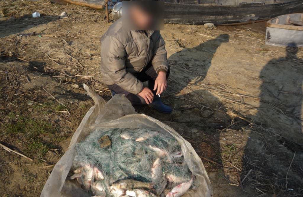 petiție pentru interzicerea pescuitului comercial pe olt - ajvps sibiu: „o susținem. vrem să combatem braconajul”