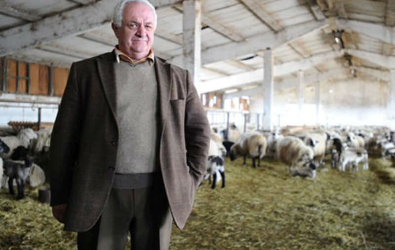 doliu în sibiu. a murit unul din cei mai apreciați crescători de ovine din românia