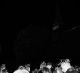 foto mii de oameni au umplut pajiştea din faţa bisericii din bezded în noaptea de înviere