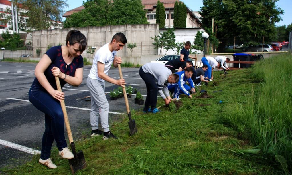 ULBS a intrat în Săptămâna verde. Se sădesc sute de plante și copaci