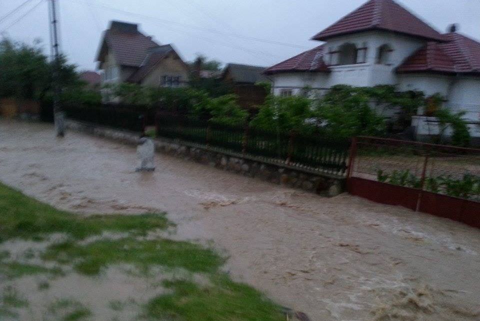 foto – ploaia face ravagii în județul vecin. grădini și gospodării inundate de ape la vâlcea!