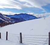 un vâlcean se laudă că a întrecut fotografii din sibiu. ce premiu important a câștigat