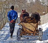 un vâlcean se laudă că a întrecut fotografii din sibiu. ce premiu important a câștigat