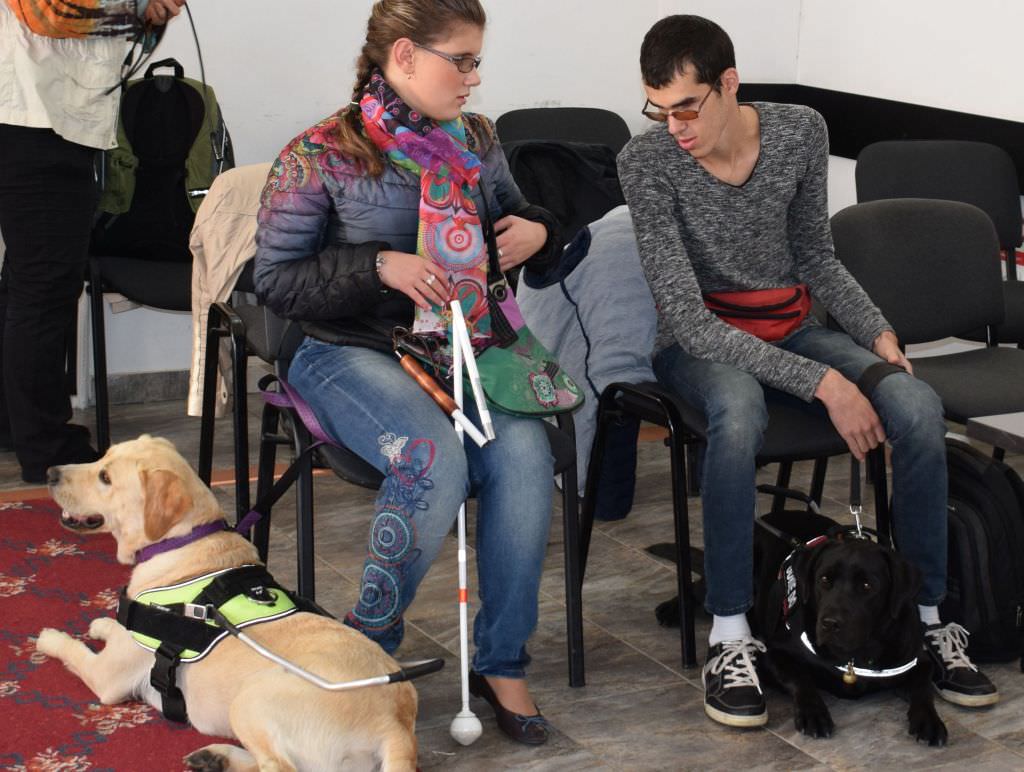 foto – pledoarie pentru accesul câinilor ghid ai nevăzătorilor în instituțiile publice din sibiu