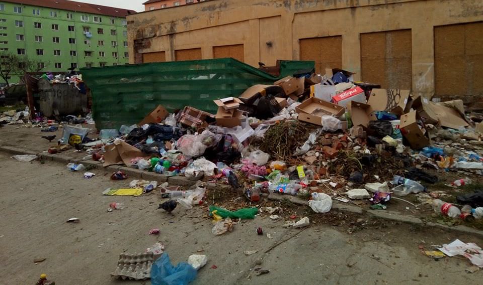 foto – cum nu s-a făcut colectarea gunoaielor în sibiu de la 1 noiembrie. la tine s-a ridicat gunoiul?