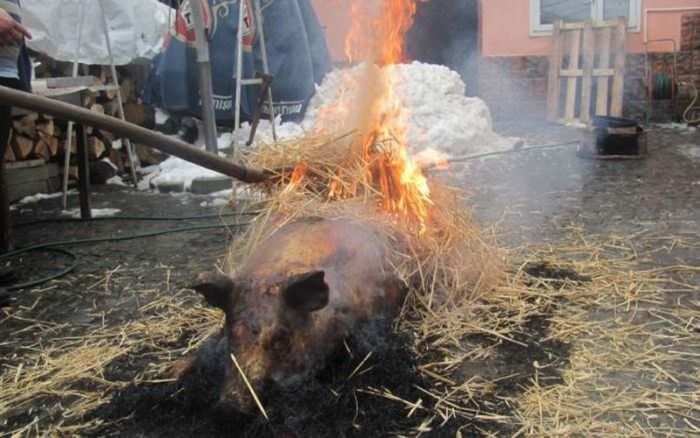foto tradiţia de ignat în mărginimea sibiului. ce semnifică tăierea porcului pentru sibieni