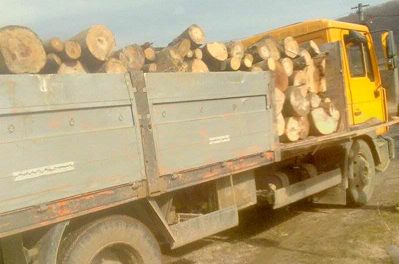 transport ilegal de lemne deturnat de polițiști la poiana sibiului