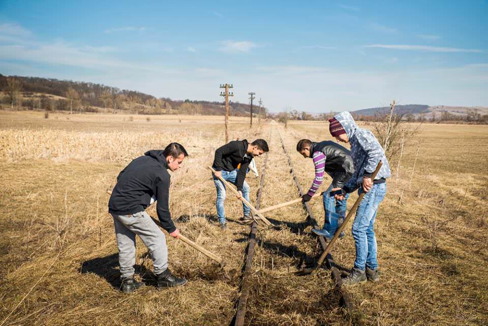 FOTO - Mocănița câștigă kilometri pe Valea Hârtibaciului în 2017