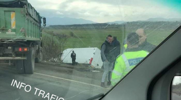 foto - cal omorât de un microbuz pe dn7 la tălmaciu. l-a lovit în plin