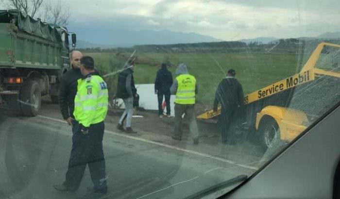 foto - cal omorât de un microbuz pe dn7 la tălmaciu. l-a lovit în plin