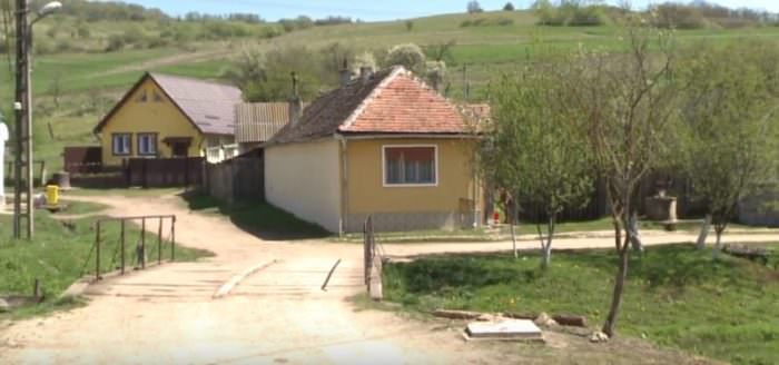 video - localnicii din ruja terorizați de câinii care au sfâșiat un copil din sat. oamenii se tem pentru viața lor