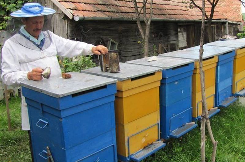 reportaj video foto - producătorii autentici ai sibiului - din hârtibaciu cu drag miere ecologică de la nea' gusti