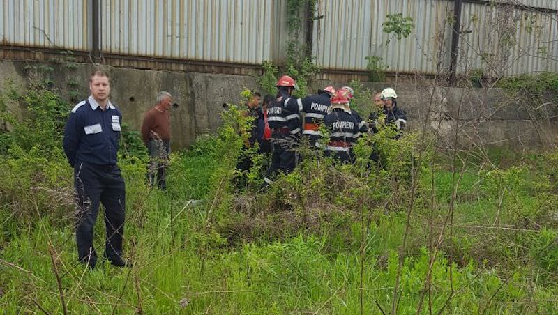 video – foto cățeluș salvat de pompieri dintr-un canal de 17 metri adâncime