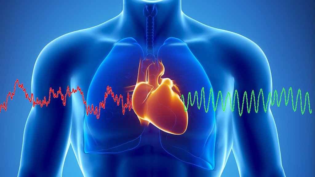 fundația română a inimii și societatea română de cardiologie organizează la sibiu “zilele insuficienței cardiace”