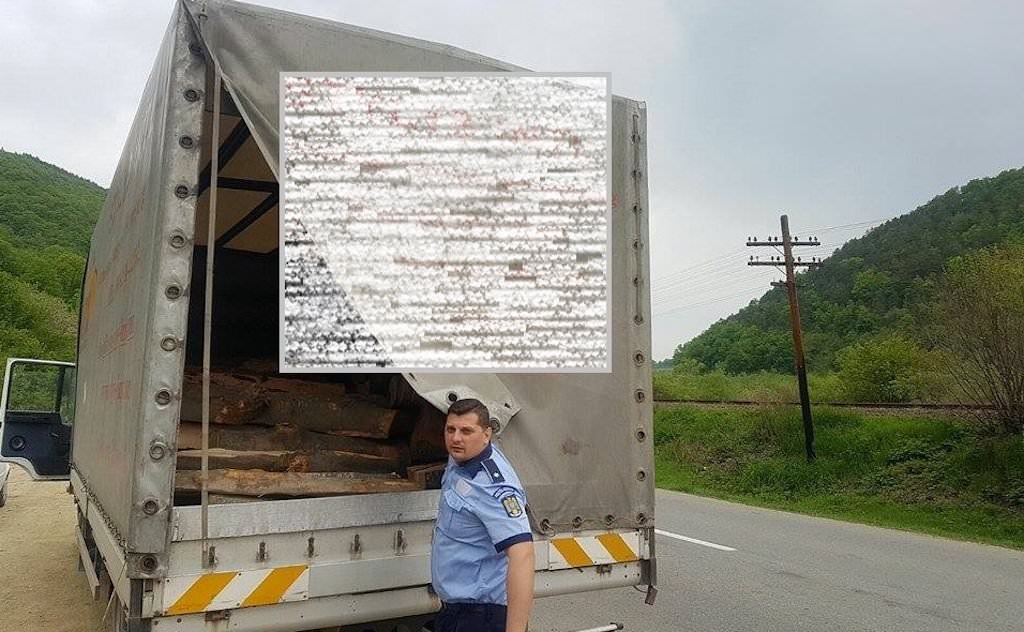 foto - amendă de 10.000 de lei pentru un sibian care transporta fraudulos lemne