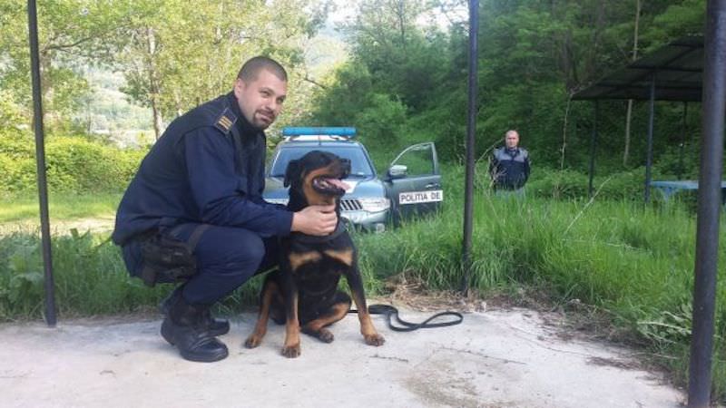 un câine dresat la sibiu este spaima fugarilor de la granița cu serbia