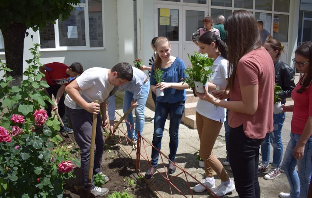 FOTO - Studenți și elevi sibieni au înverzit Sibiul cu peste 300 de plante