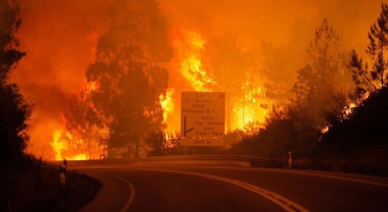 portugalia înfruntă cel mai grav incendiu de pădure din lume în ultimii 40 de ani