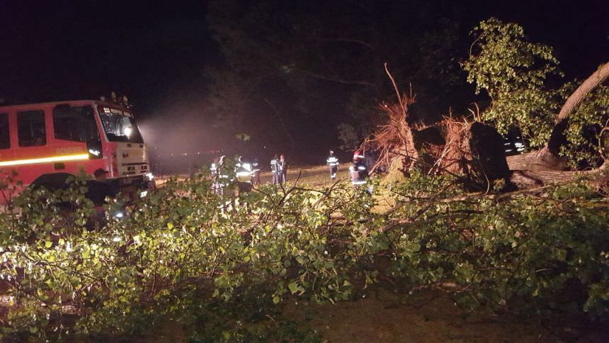 furtunile fac ravagii în țară - sute de copaci smulși și zeci de mașini avariate